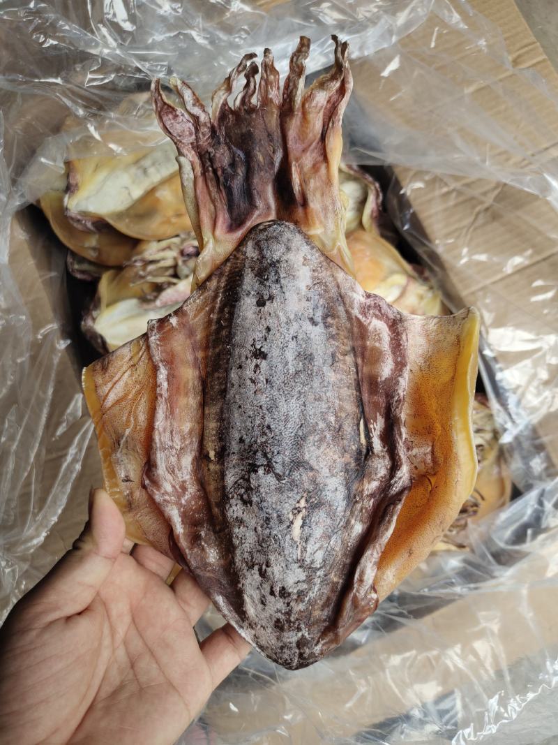 厂家批发一手货源北海墨鱼穿孔吊晒墨鱼干货肉厚味香2-3条
