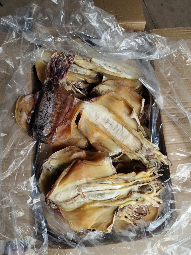 厂家批发一手货源北海墨鱼穿孔吊晒墨鱼干货肉厚味香2-3条