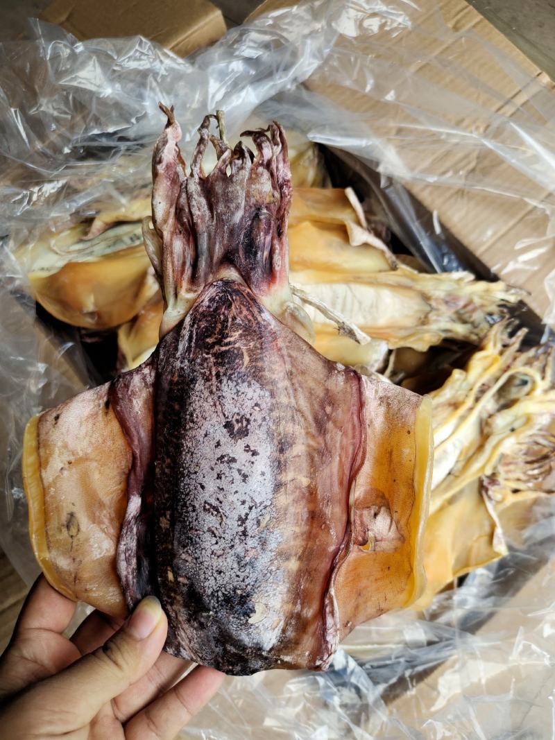 厂家批发一手货源北海墨鱼穿孔吊晒墨鱼干货肉厚味香2-3条