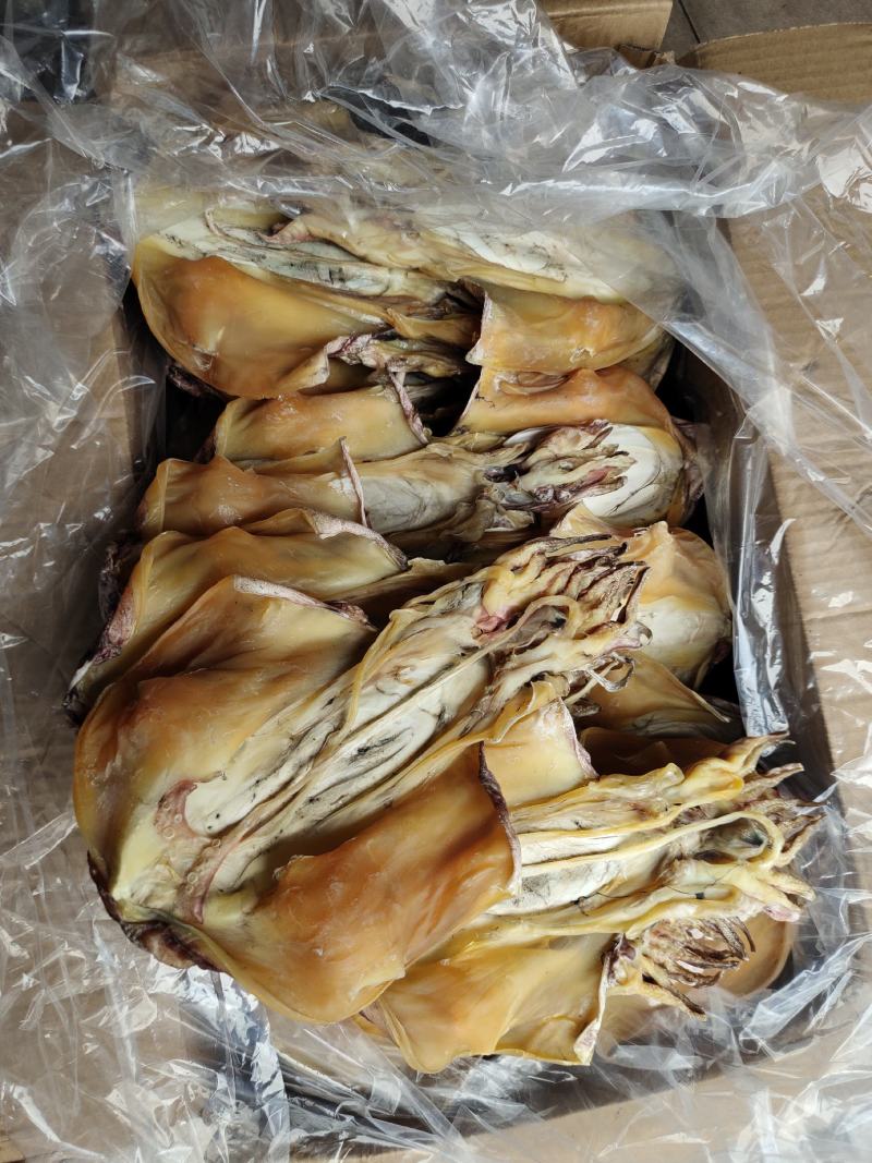 厂家批发一手货源北海墨鱼穿孔吊晒墨鱼干货肉厚味香2-3条