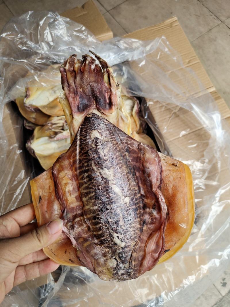 厂家批发一手货源北海墨鱼穿孔吊晒墨鱼干货肉厚味香2-3条