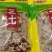 【产地直销】正宗云南文山三七不带剪口的精品滑头三七
