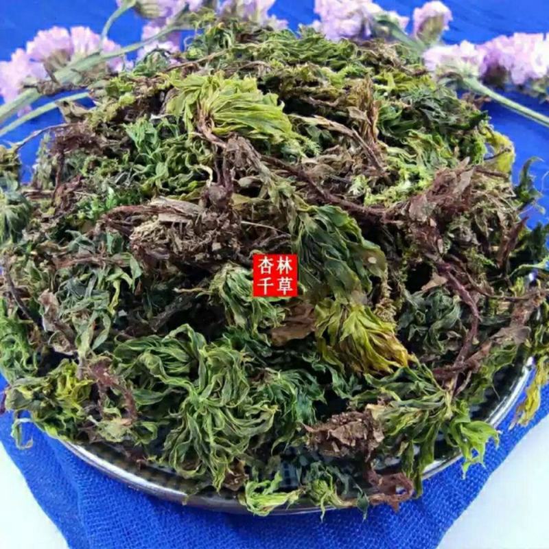 精选云南野生回心草茴心草干净清爽无灰尘包邮