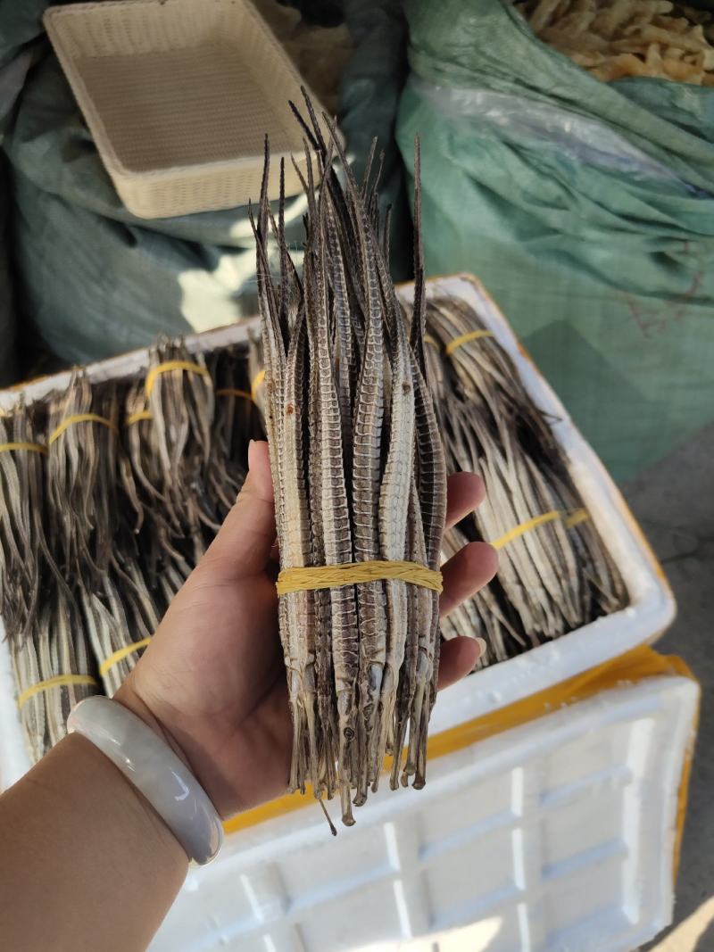 批发海龙六角龙160条大号泡酒煲汤磨粉祭祖淡干足干