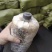 平菇菌包火爆模式，火爆产品，席卷全国，吃票子的好产品