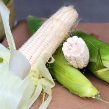 一件代发5斤9.9元【攀枝花玉米】我代办包你满意