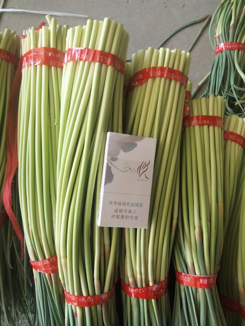 邳州红帽蒜薹，改把加工，入库