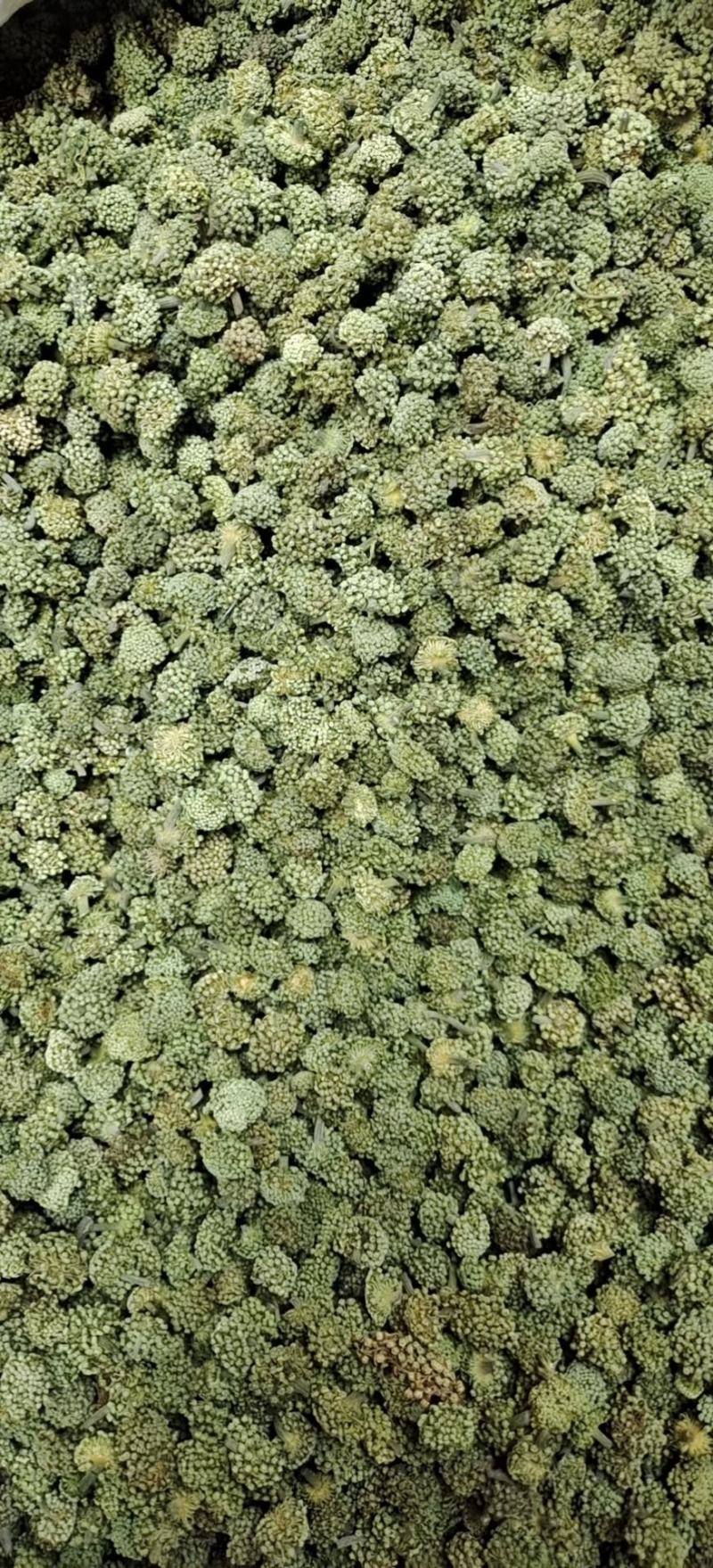 【产地直销】正宗云南文山三七花短杆精品三七花