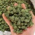 【产地直销】正宗云南文山三七花短杆精品三七花