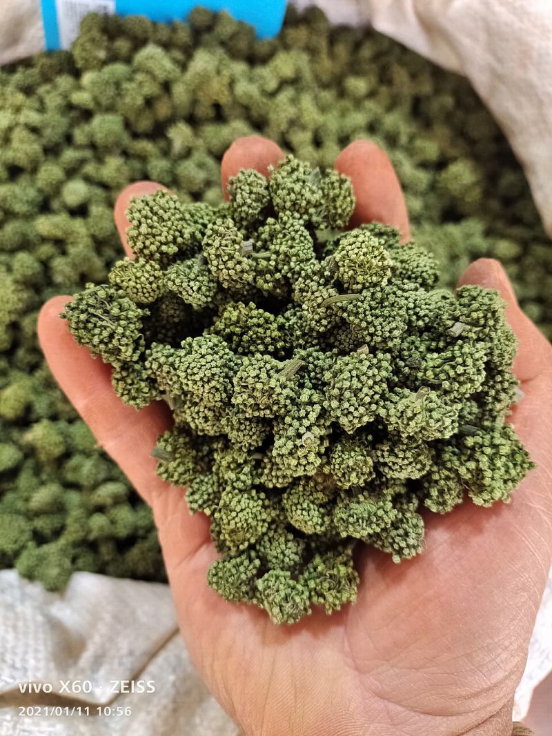 【产地直销】正宗云南文山三七花短杆精品三七花
