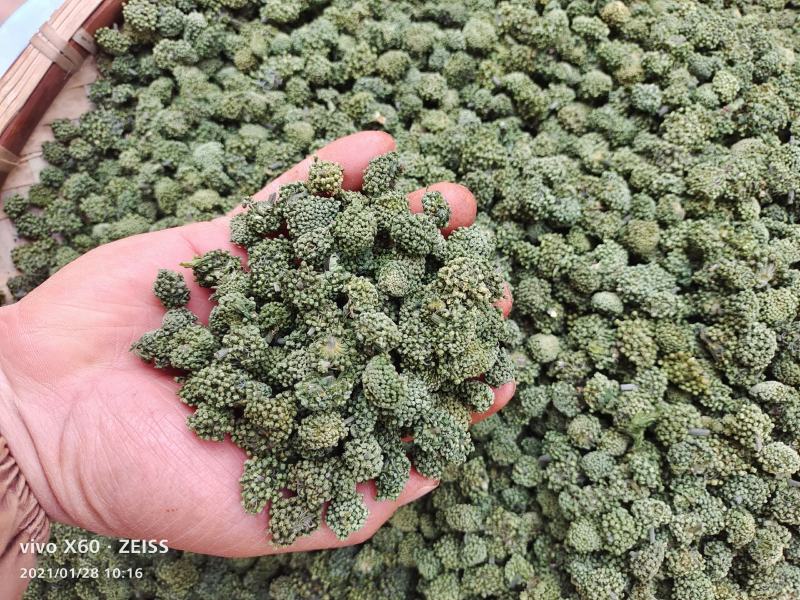 【产地直销】正宗云南文山三七花短杆精品三七花