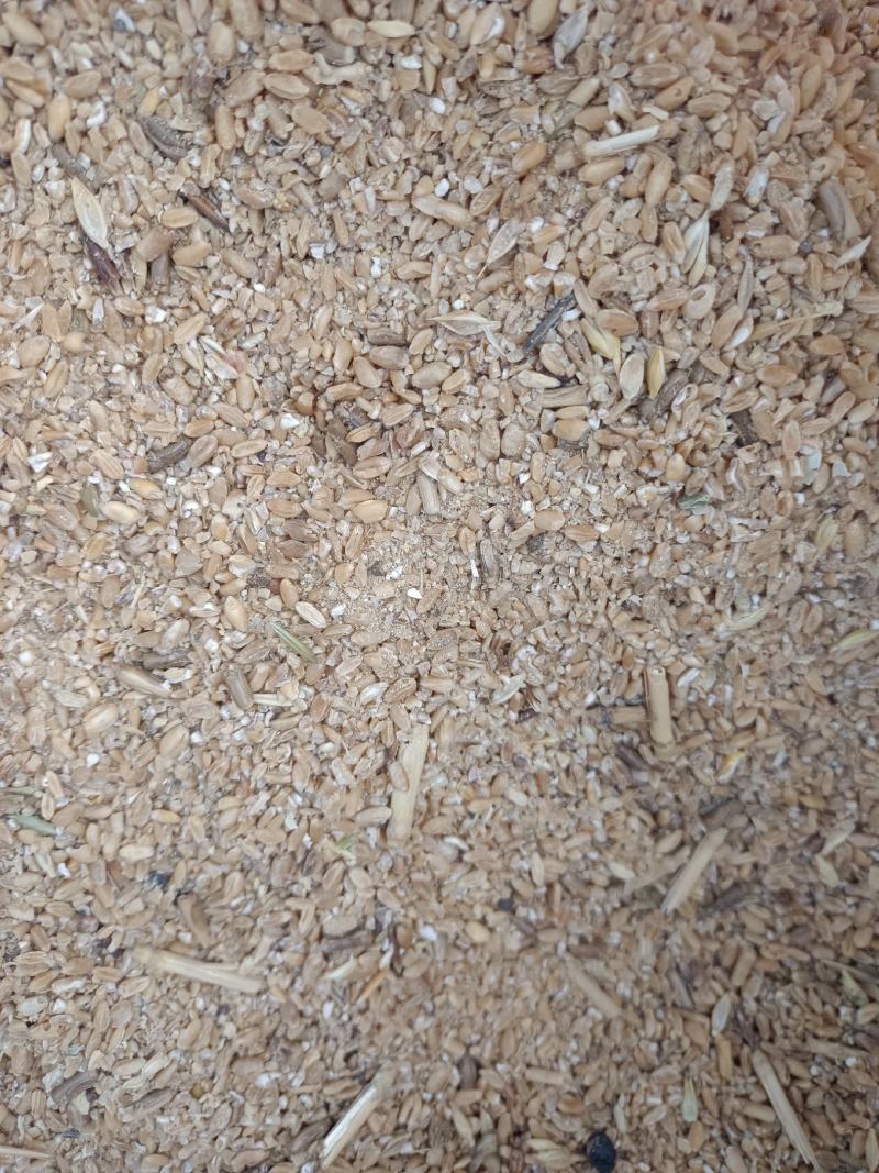 碎小麦，适合鸡鸭鹅猪牛羊养殖使用。质量保证。
