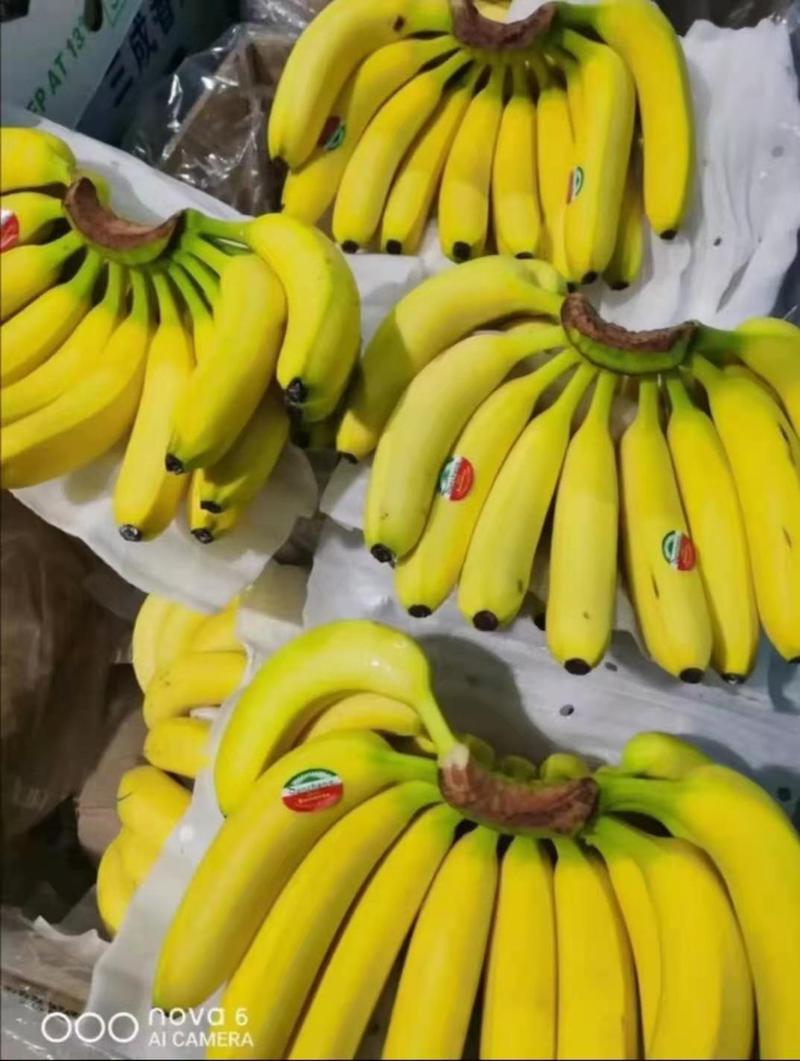 进口菲律宾香蕉现货好货不多了品质保证量大优惠！！