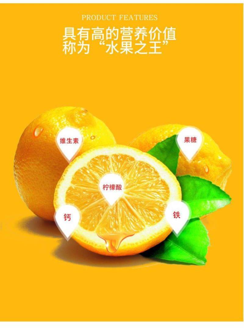 【一件代发】四川安岳柠檬当季水果果园现摘现发整箱包邮