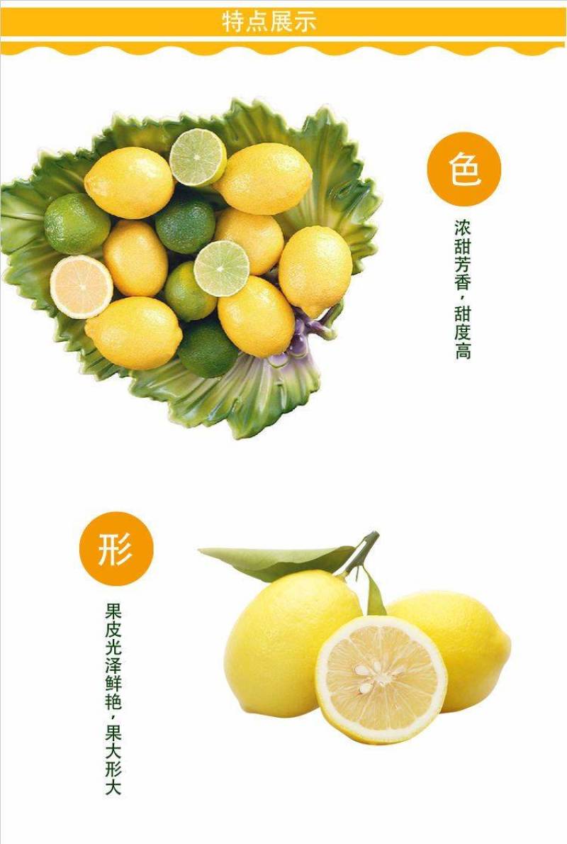 【一件代发】四川安岳柠檬当季水果果园现摘现发整箱包邮