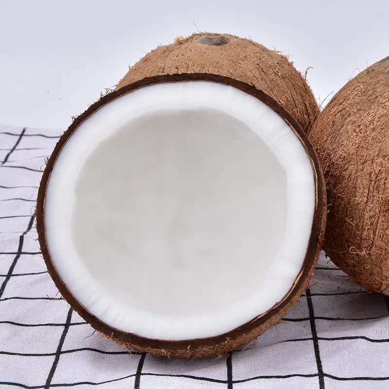 【一件代发】海南新鲜椰子老椰子特产水果毛椰椰青水椰肉椰皇