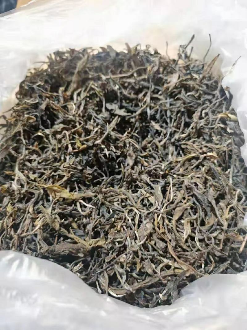 2019年易武麻黑头春古树茶，欢迎选购！
