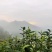 安徽黄山毛峰2025年高山绿茶口粮茶黄山毛峰新茶包邮