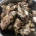 肉多肋条头，物美价廉自助餐，后厨好食材，好食材，好味道