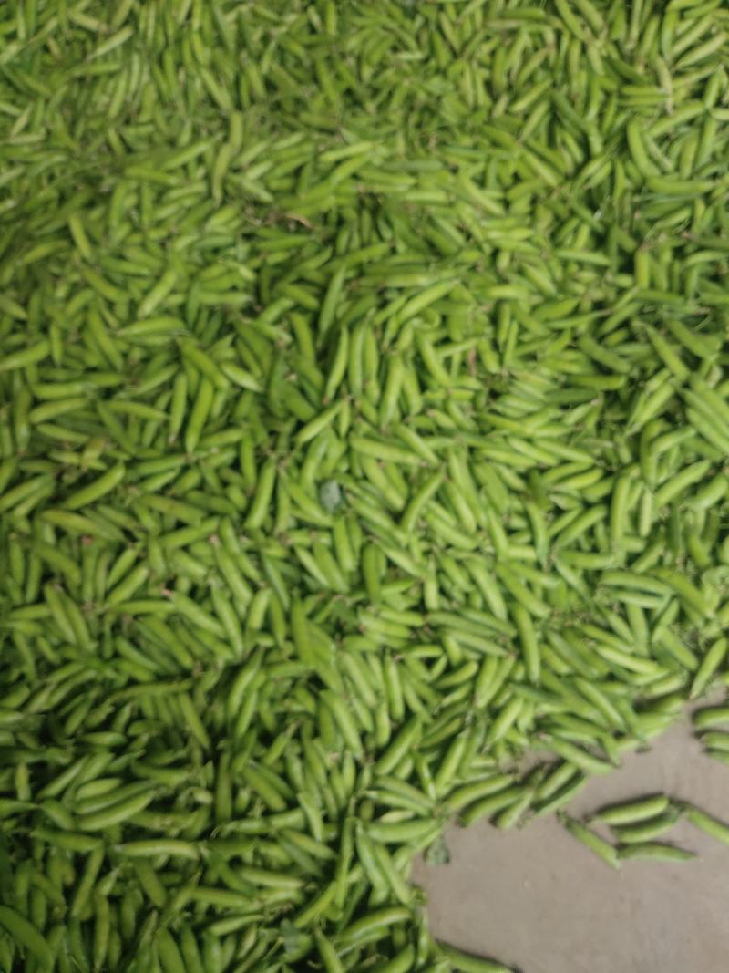 豌豆