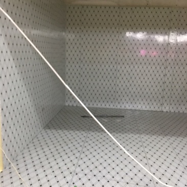 厂家直销全新各种规格蔬菜瓜果保鲜库肉类食品冷冻库免费上门设计