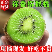 【一件代发】徐香猕猴桃水果绿心奇异果个大皮薄香甜爽口包邮