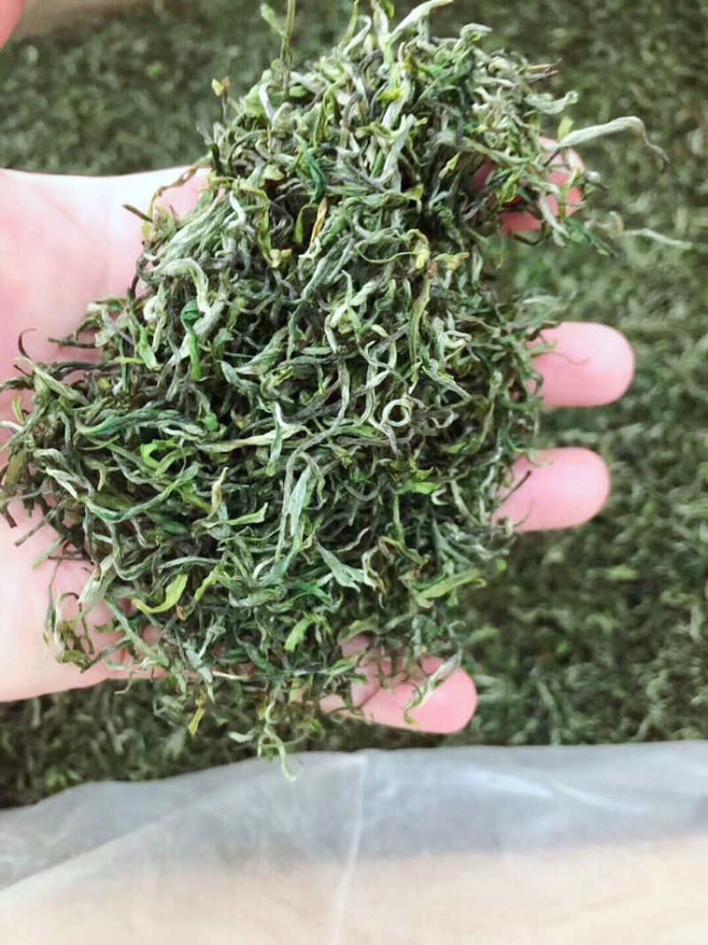 2021新茶石台富硒茶高山绿茶云雾绿茶高山野茶明前茶