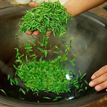2021新茶石台富硒茶高山绿茶云雾绿茶高山野茶明前茶