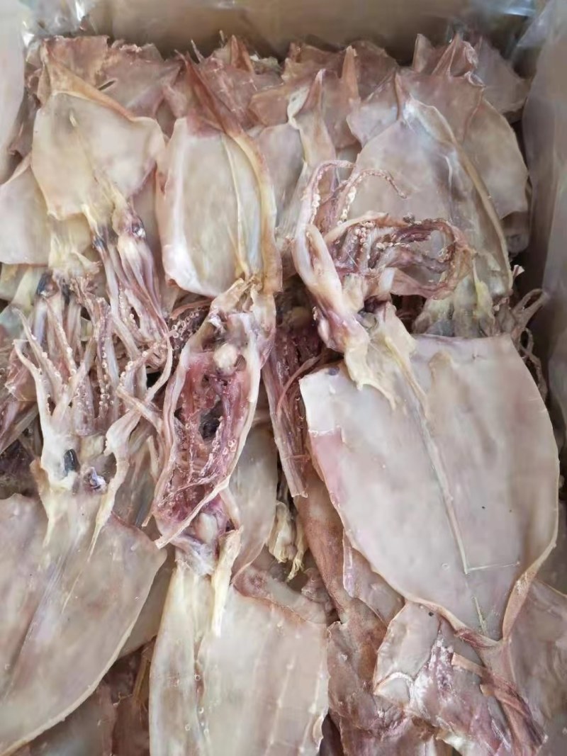 水发鱿鱼！淡干！一斤1520头左右个头不小！肉薄比较轻！