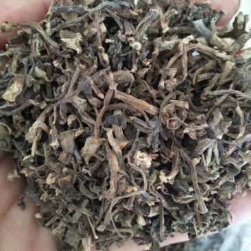 马齿笕，常年批发供应药食同源马齿笕中药材量大从优