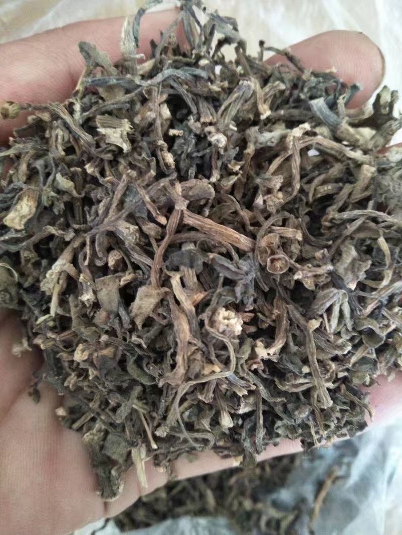 马齿笕，常年批发供应药食同源马齿笕中药材量大从优