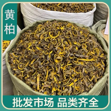 中药材黄柏货品质量保证批发各种中药材