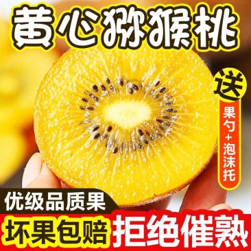 【一件代发】黄心猕猴桃微商电商专业供货产地直发超值包邮
