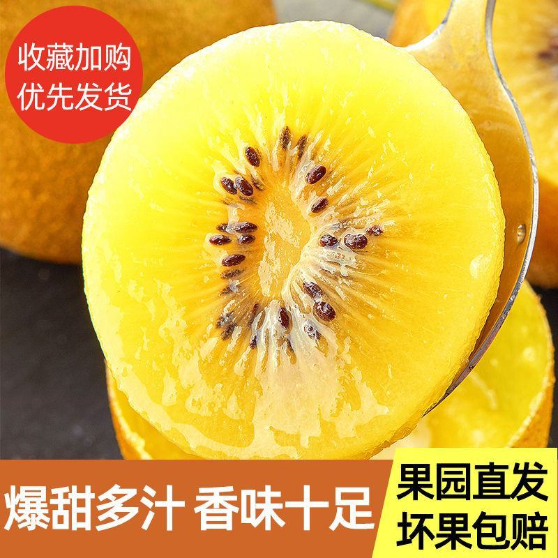 【一件代发】黄心猕猴桃微商电商专业供货产地直发超值包邮