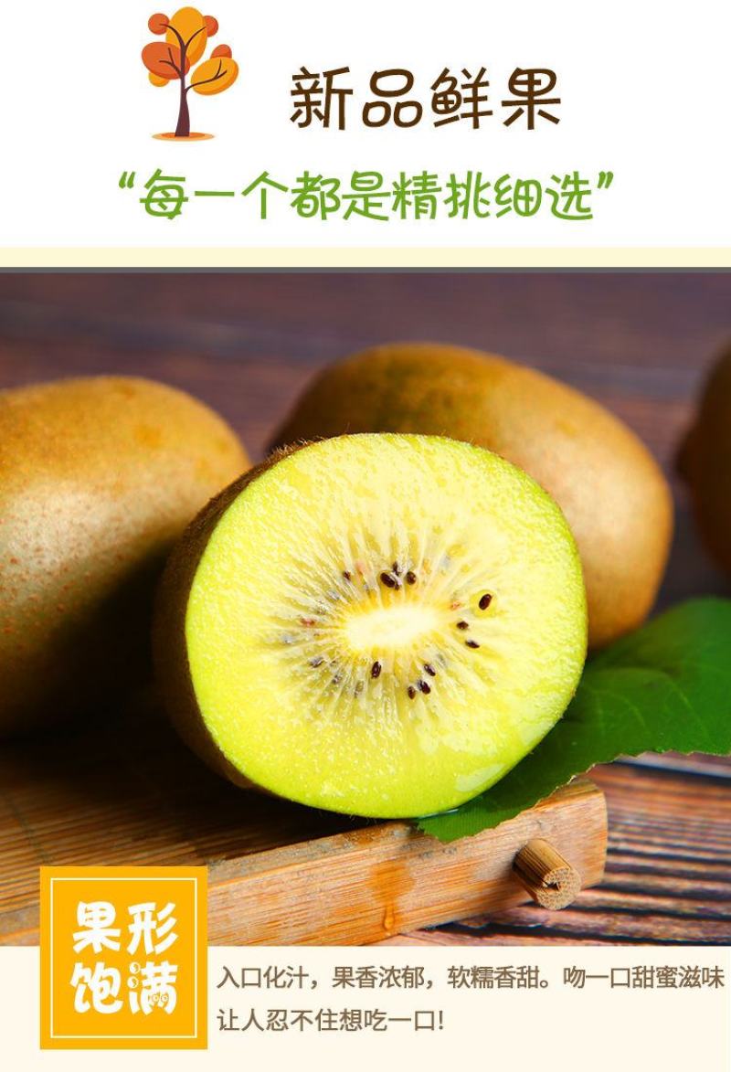 【一件代发】黄心猕猴桃微商电商专业供货产地直发超值包邮