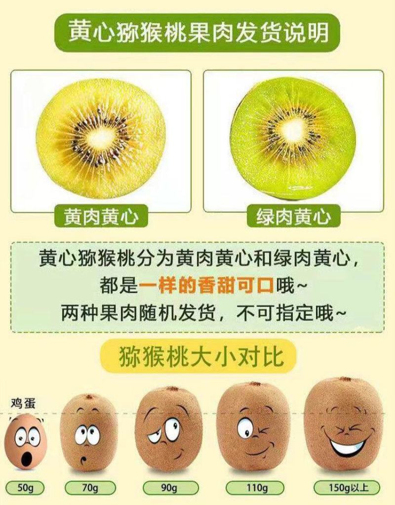 【一件代发】黄心猕猴桃微商电商专业供货产地直发超值包邮