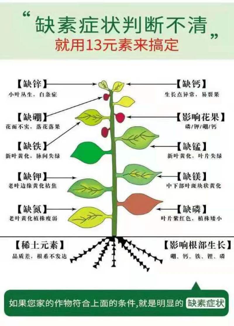 十三元素肥料，大量元素中微量元素水溶肥，全面补充营养。