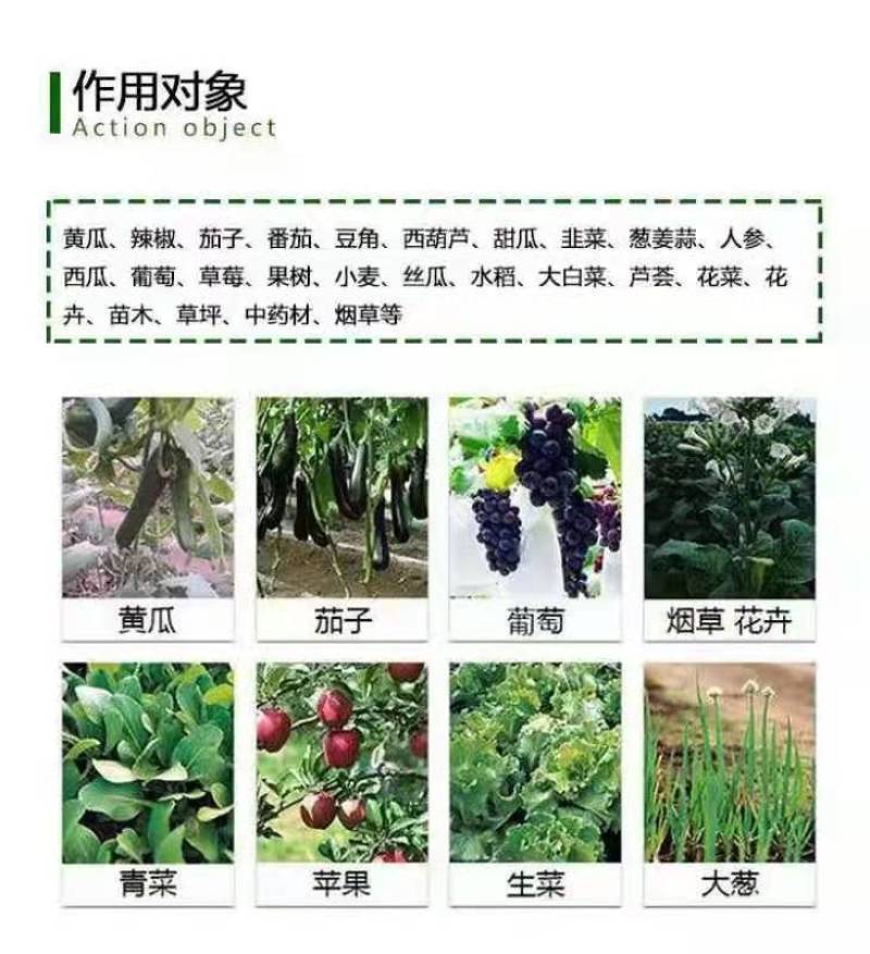 十三元素肥料，大量元素中微量元素水溶肥，全面补充营养。