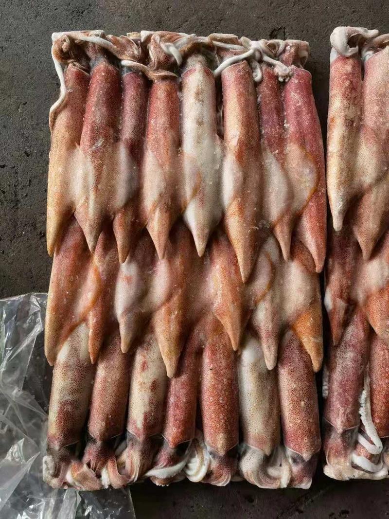 印尼钓4红鱿鱼，冷链物流配送