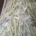 精品芸豆供应超市。市场小贩