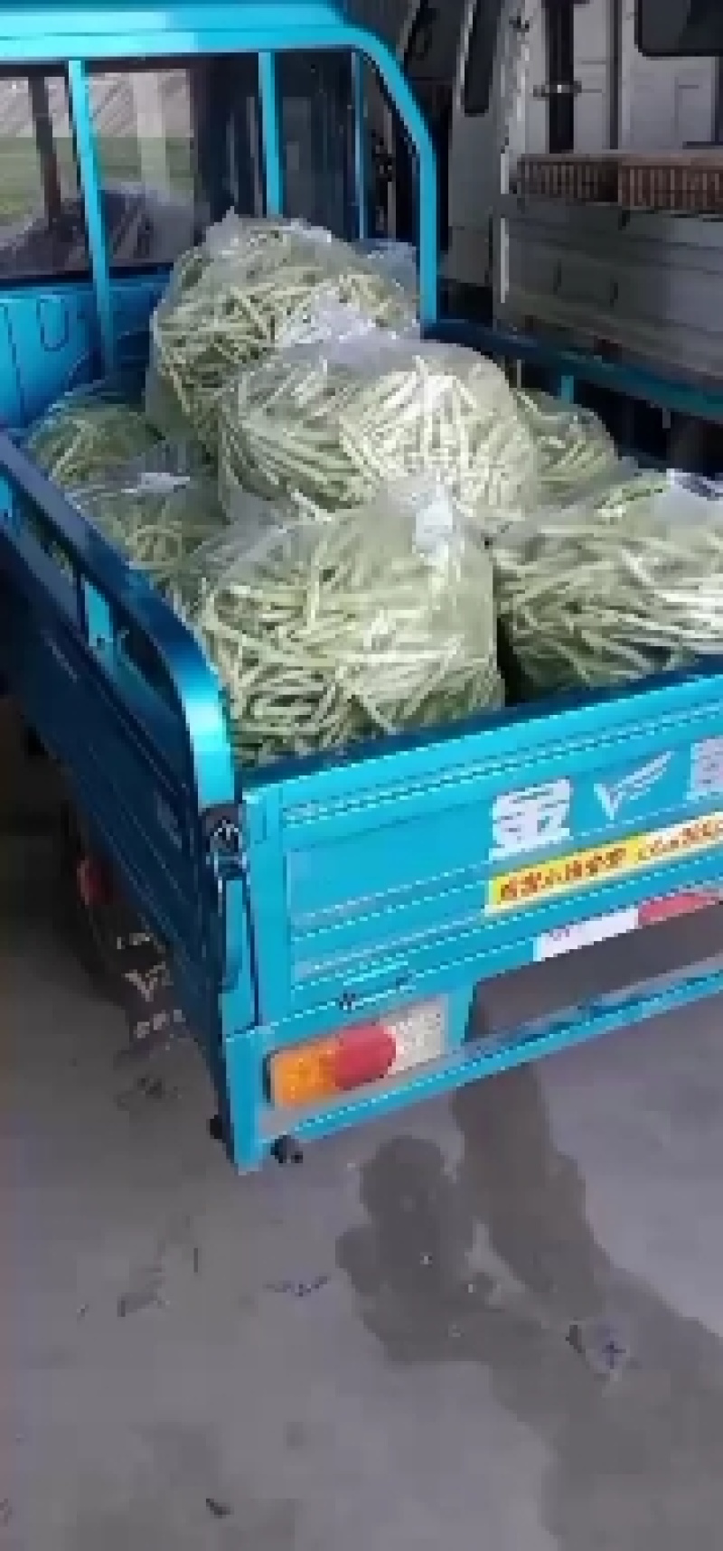 精品芸豆供应超市。市场小贩