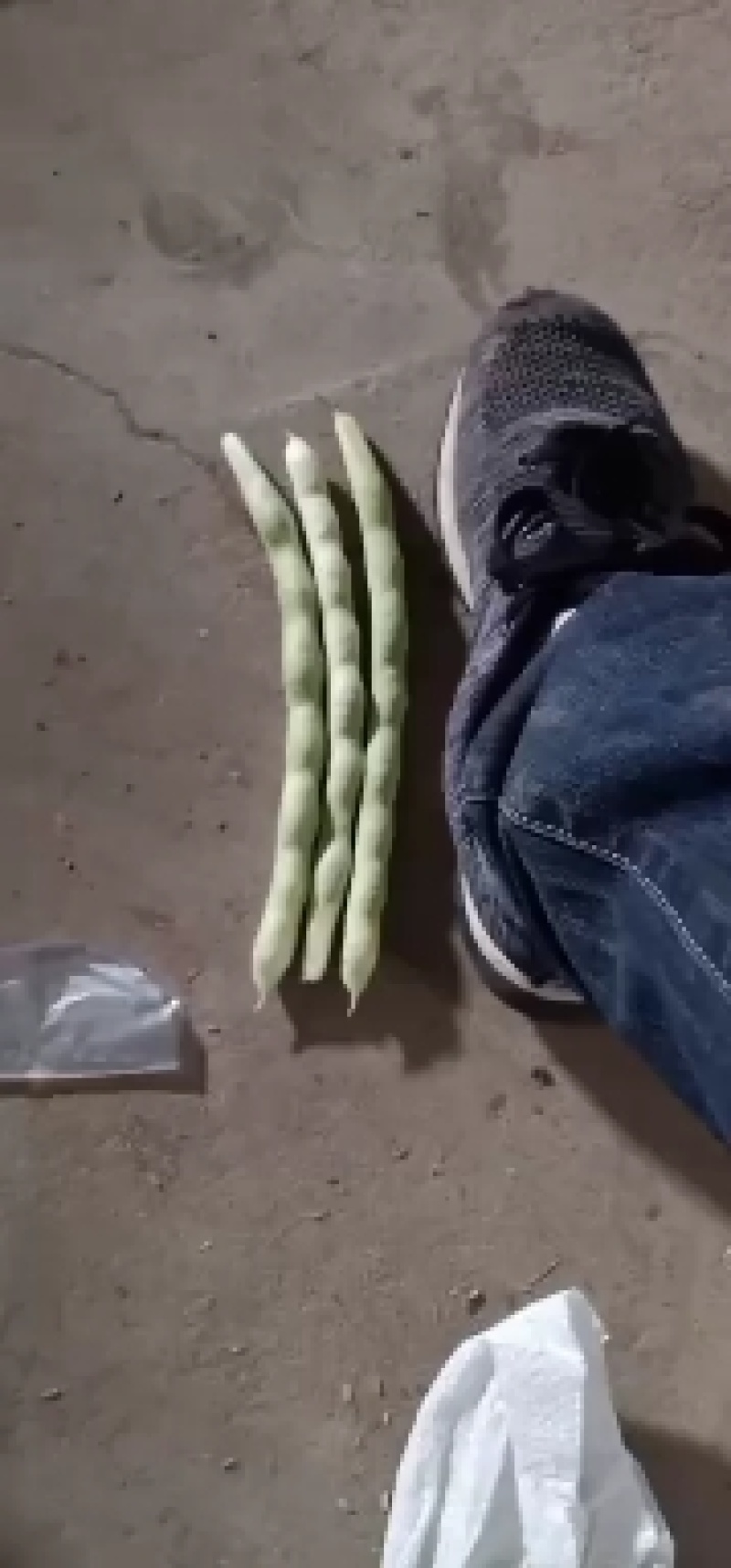 精品芸豆供应超市。市场小贩