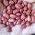 进口小颗红花生炸油用的花生米