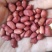 进口小颗红花生炸油用的花生米