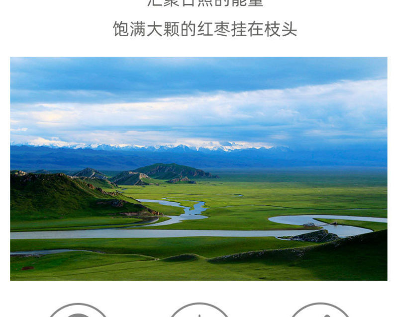 【一手货源】新疆灰枣大枣枣子零食干果特产小红枣一件代发