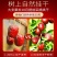 【一手货源】新疆灰枣大枣枣子零食干果特产小红枣一件代发