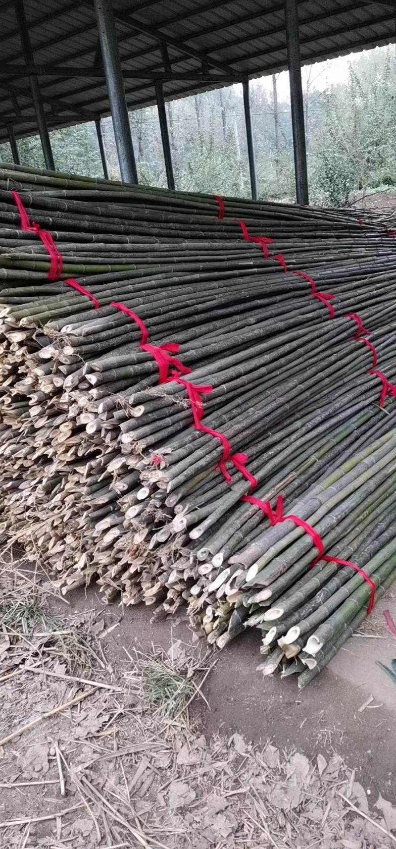 竹杆各种品种各种规格竹尾各种规格