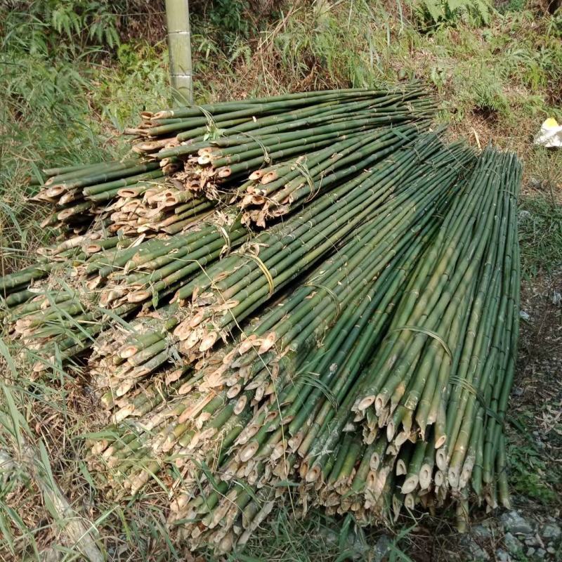 竹杆各种品种各种规格竹尾各种规格