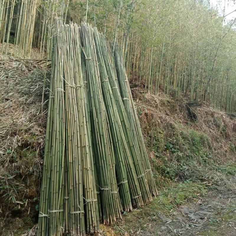 竹杆各种品种各种规格竹尾各种规格