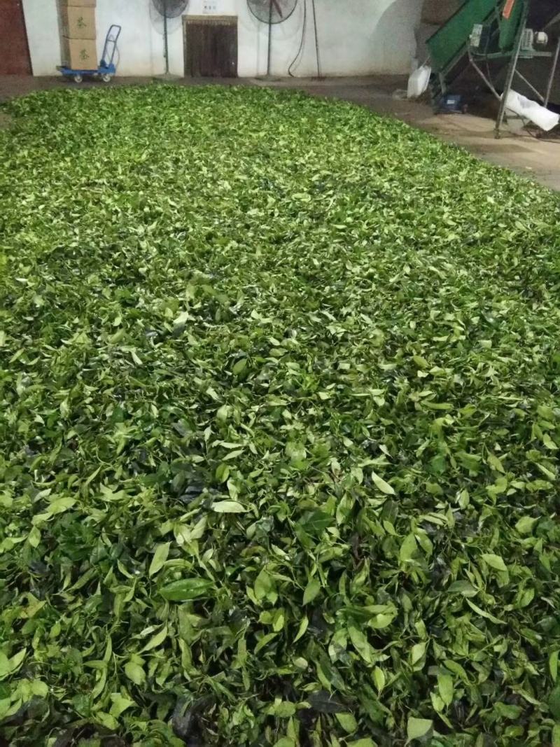 石崖茶